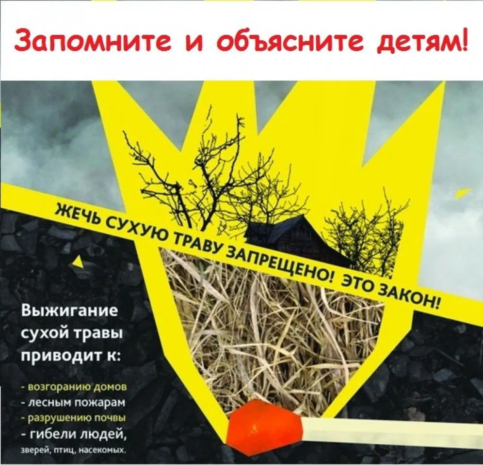 6ebd9bd8af9d7e1faea0934cbda620c1