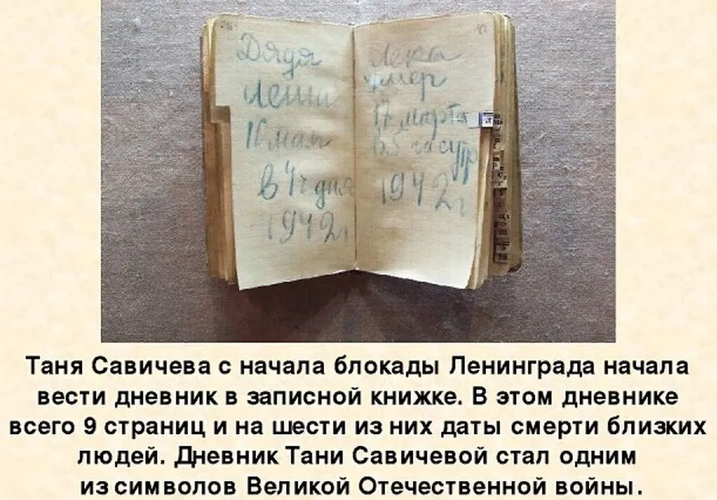 2_novopr