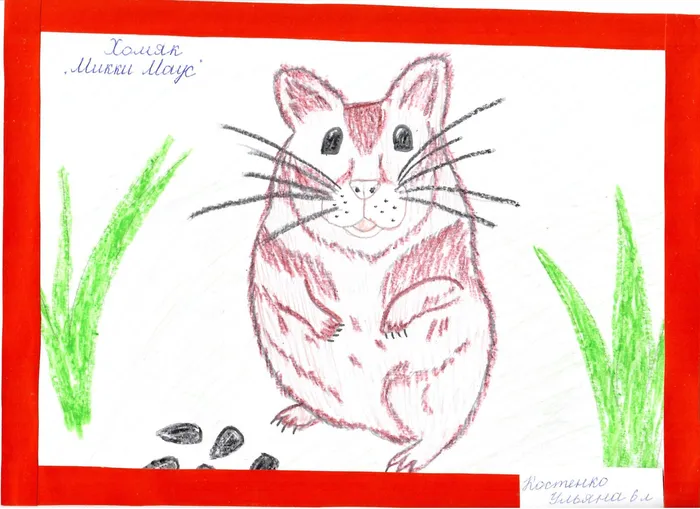 рис10 - копия.jpeg