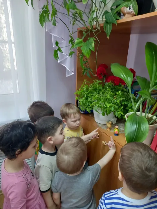 fTXW8BC2z8pAhkG6lllOeS6-RSQfQCp4PU-hsMVKaWxEB2Yv-EL85L85rAyjEYhEEd8pRIf7HUB4xPRcMTs3WOmx